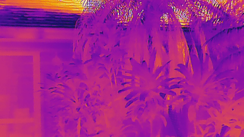 Thermal Image
